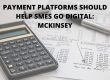 Payment Platforms Should Help SMEs Go Digital: Mckinsey