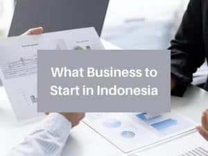 What Business to Start in Indonesia