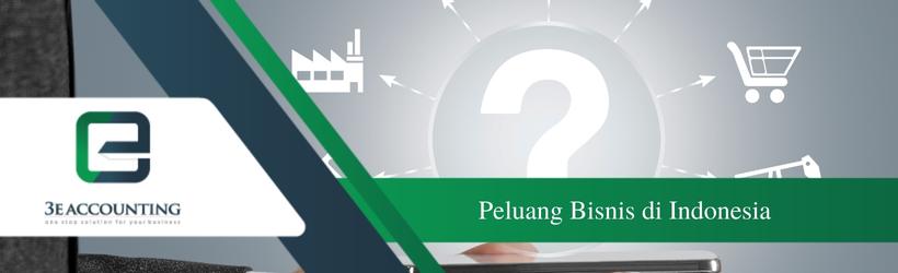 Peluang Bisnis Di Indonesia - Ringkasan