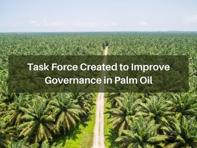 Task Force Created to Improve Governance in Palm Oil